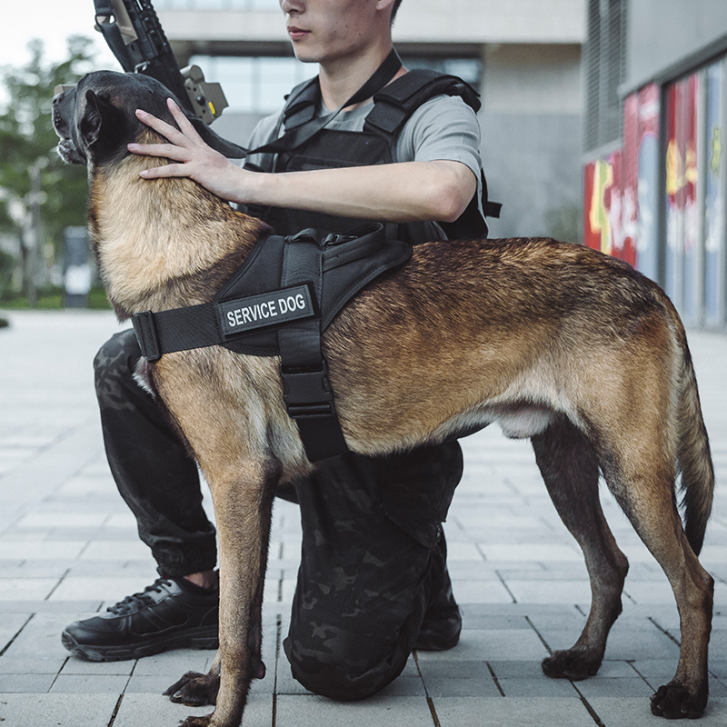 Outdoor Camping Vest - Tactical Dog Harness with Handle Hiking